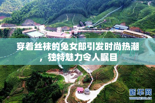 穿着丝袜的兔女郎引发时尚热潮，独特魅力令人瞩目