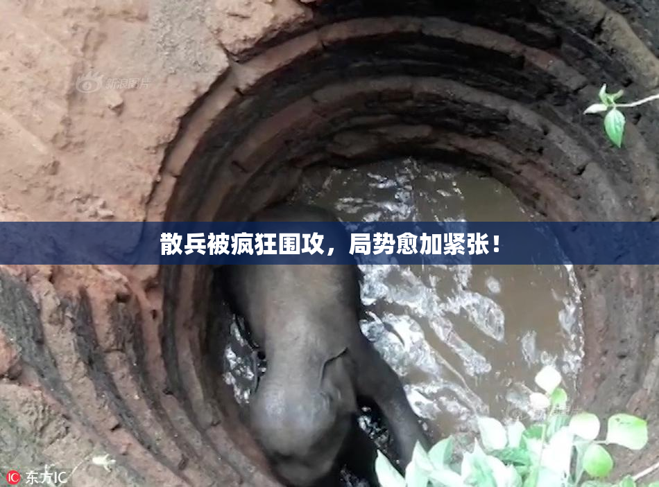 散兵被疯狂围攻，局势愈加紧张！