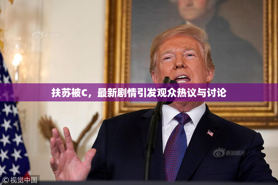 扶苏被C，最新剧情引发观众热议与讨论