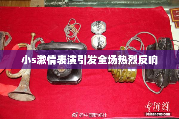 小s激情表演引发全场热烈反响