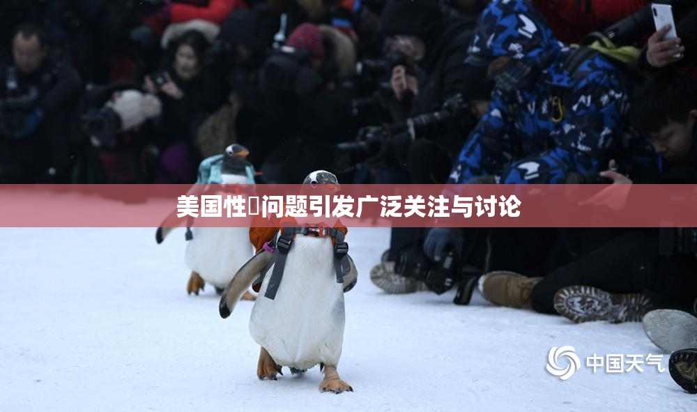 美国性婬问题引发广泛关注与讨论