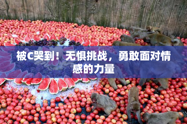 被C哭到！无惧挑战，勇敢面对情感的力量