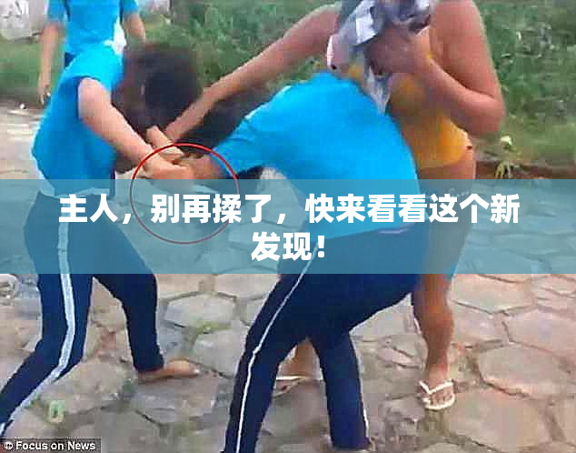主人，别再揉了，快来看看这个新发现！