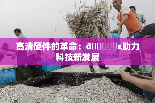 高清硬件的革命：🔞❌‌ε助力科技新发展