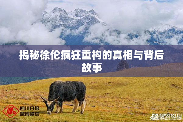 揭秘徐伦疯狂重构的真相与背后故事