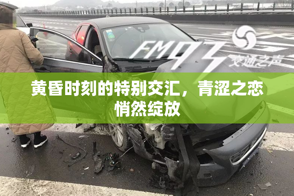 黄昏时刻的特别交汇，青涩之恋悄然绽放