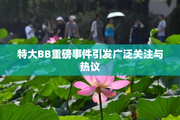 特大BB重磅事件引发广泛关注与热议