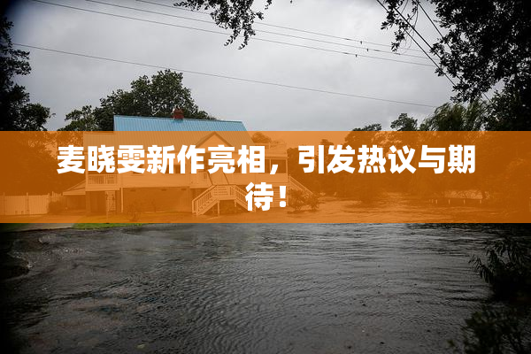 麦晓雯新作亮相，引发热议与期待！