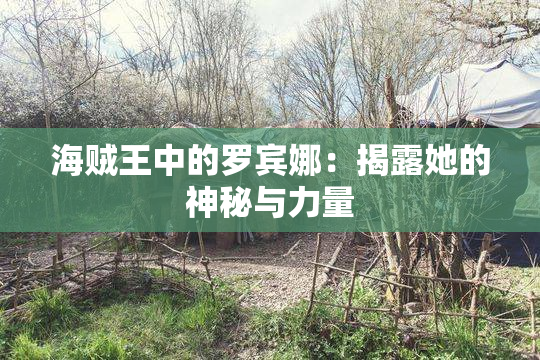 海贼王中的罗宾娜：揭露她的神秘与力量