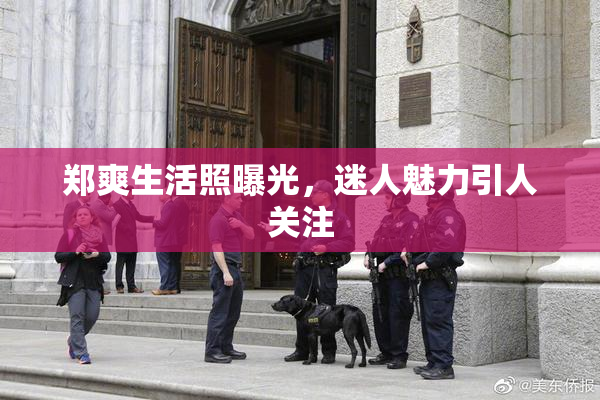郑爽生活照曝光，迷人魅力引人关注