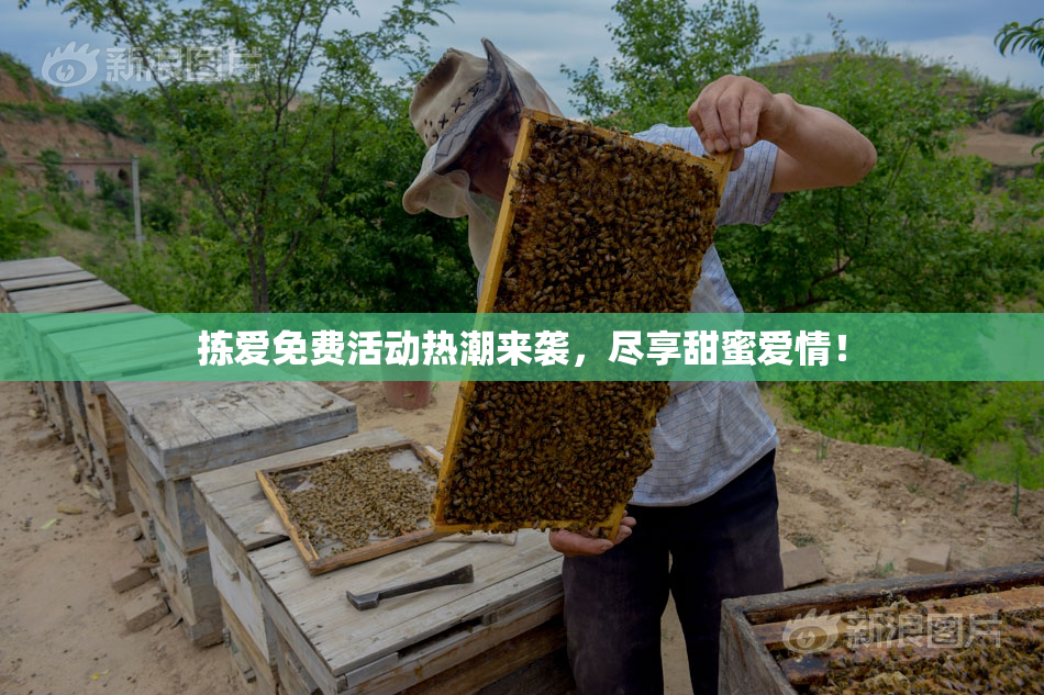 拣爱免费活动热潮来袭，尽享甜蜜爱情！