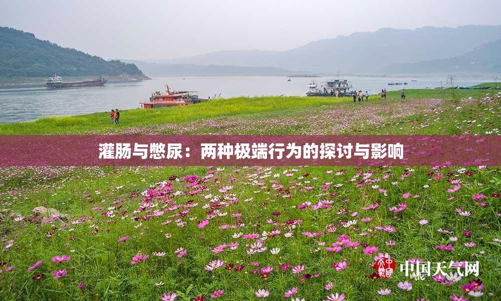 灌肠与憋尿：两种极端行为的探讨与影响