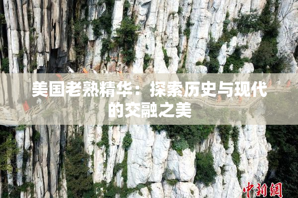 美国老熟精华：探索历史与现代的交融之美