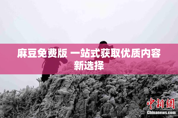 麻豆免费版 一站式获取优质内容新选择