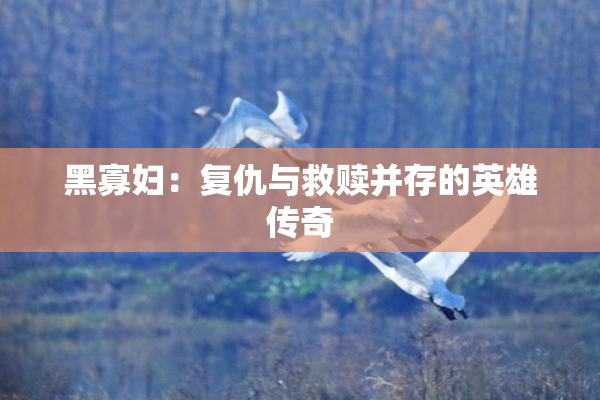 黑寡妇：复仇与救赎并存的英雄传奇