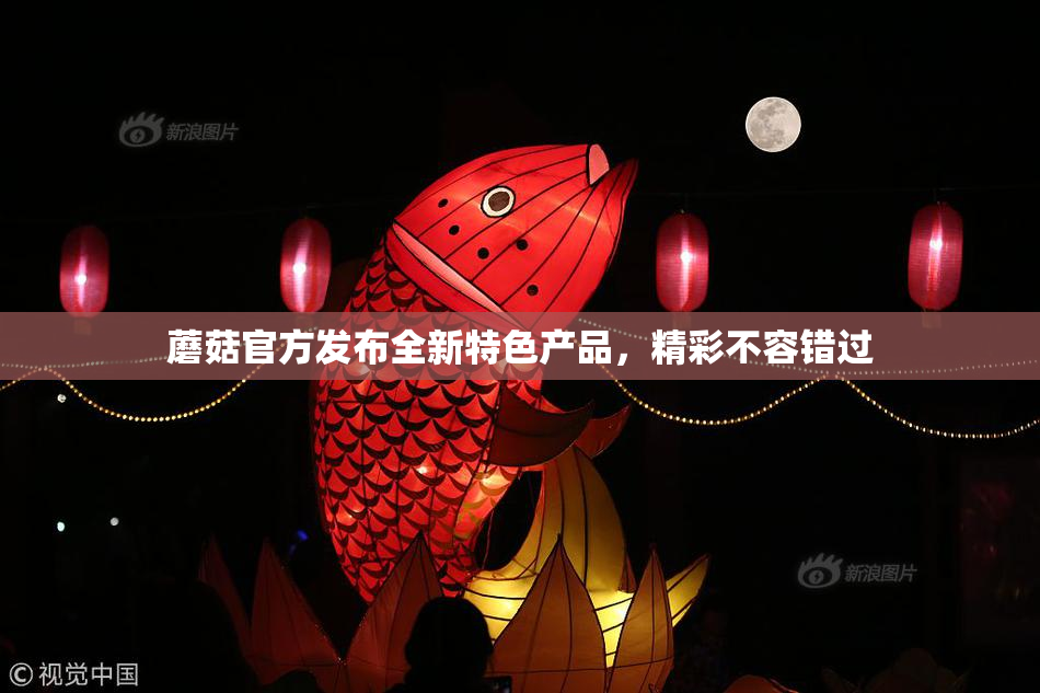 蘑菇官方发布全新特色产品，精彩不容错过