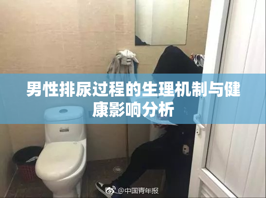 男性排尿过程的生理机制与健康影响分析
