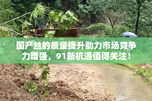 国产丝的质量提升助力市场竞争力增强，91新机遇值得关注！