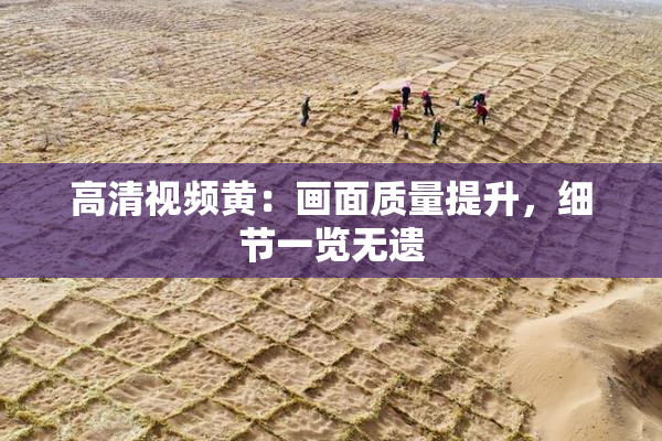 高清视频黄：画面质量提升，细节一览无遗