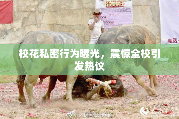 校花私密行为曝光，震惊全校引发热议