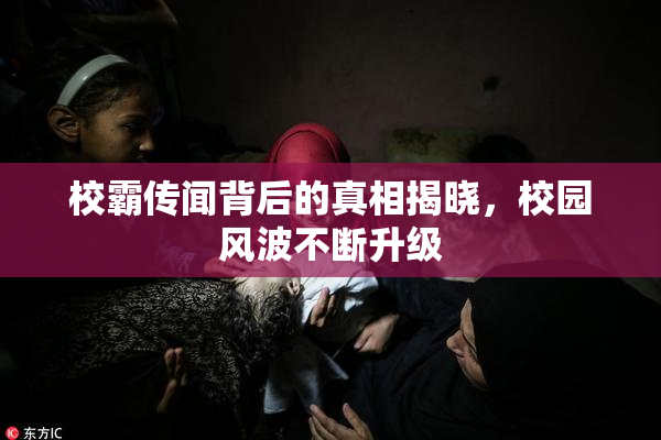 校霸传闻背后的真相揭晓，校园风波不断升级