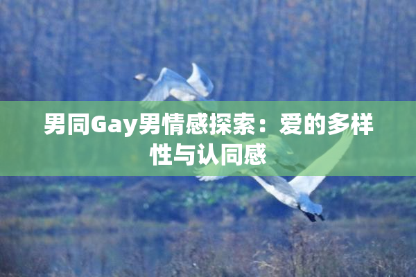 男同Gay男情感探索：爱的多样性与认同感