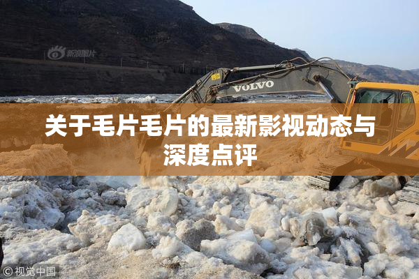 关于毛片毛片的最新影视动态与深度点评