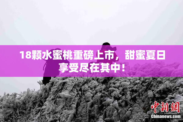 18颗水蜜桃重磅上市，甜蜜夏日享受尽在其中！
