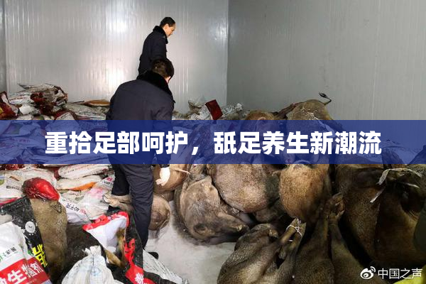重拾足部呵护，舐足养生新潮流