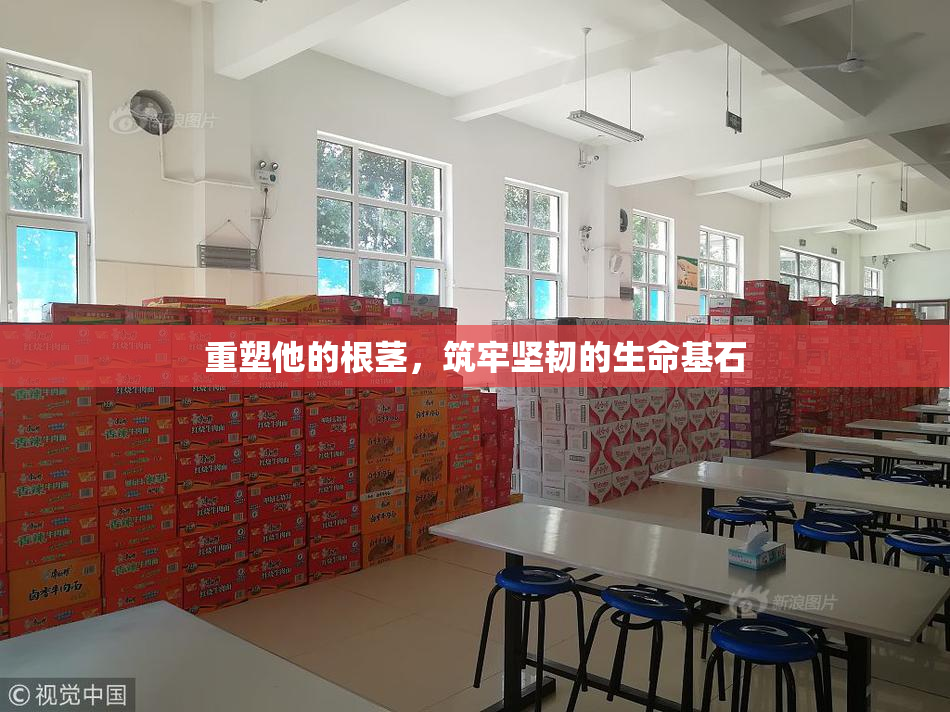 重塑他的根茎，筑牢坚韧的生命基石