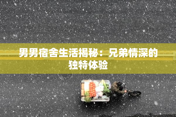 男男宿舍生活揭秘：兄弟情深的独特体验