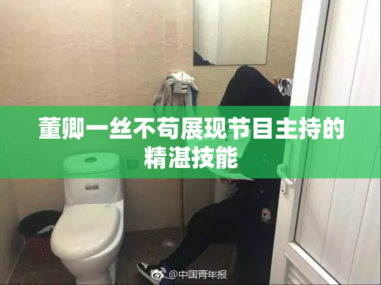 董卿一丝不苟展现节目主持的精湛技能