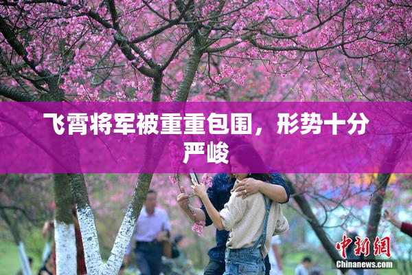 飞霄将军被重重包围，形势十分严峻