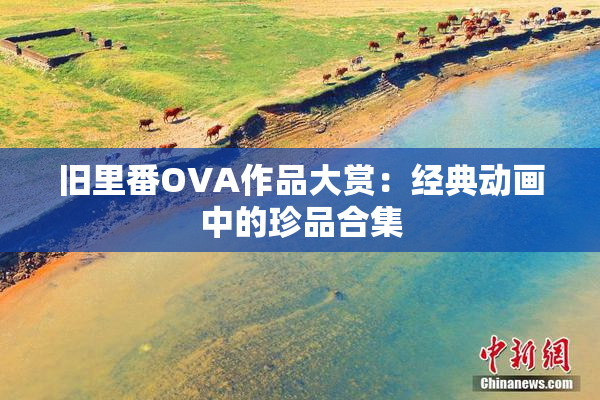 旧里番OVA作品大赏：经典动画中的珍品合集