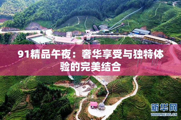 91精品午夜：奢华享受与独特体验的完美结合