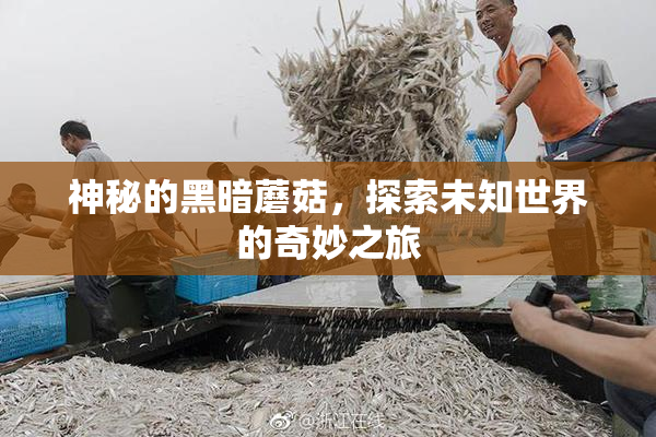 神秘的黑暗蘑菇，探索未知世界的奇妙之旅