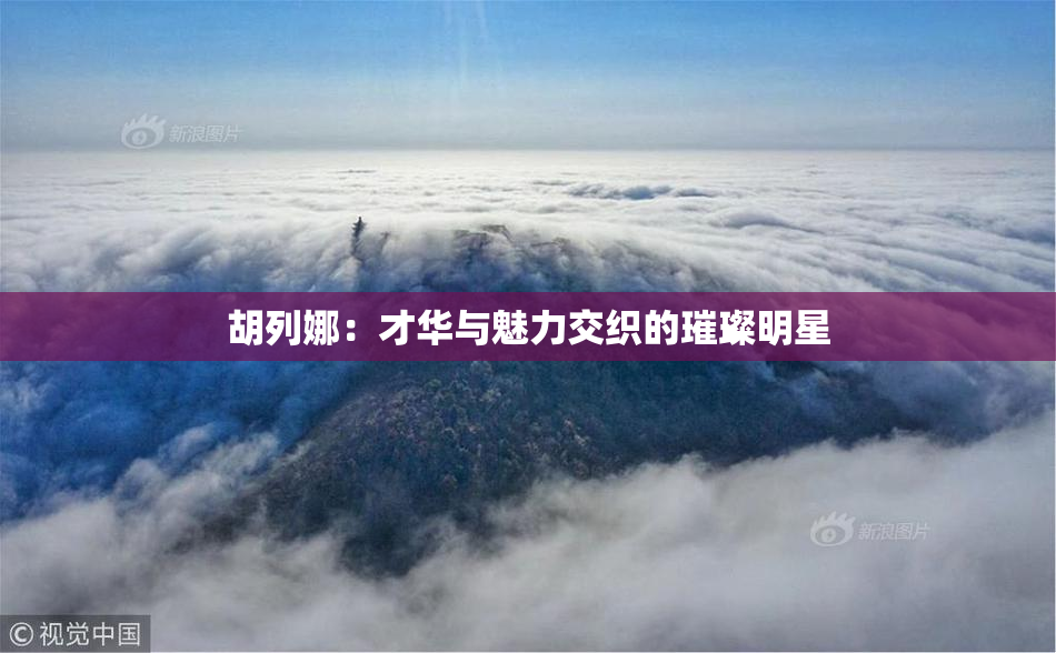 胡列娜：才华与魅力交织的璀璨明星