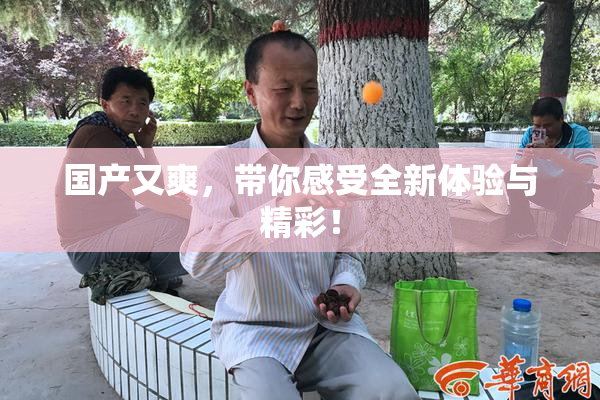 国产又爽，带你感受全新体验与精彩！