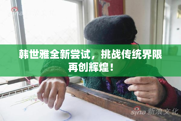 韩世雅全新尝试，挑战传统界限再创辉煌！