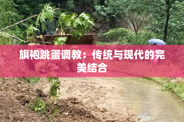 旗袍跳蛋调教：传统与现代的完美结合