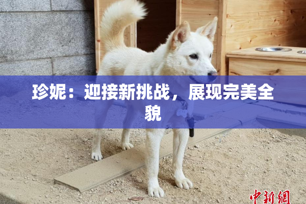 珍妮：迎接新挑战，展现完美全貌