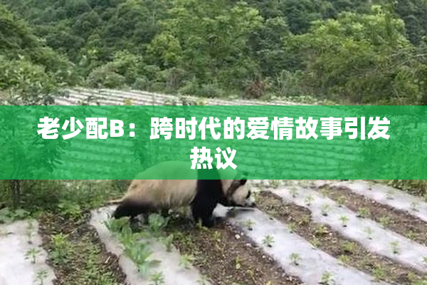 老少配B：跨时代的爱情故事引发热议