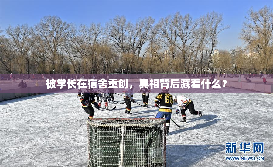 被学长在宿舍重创，真相背后藏着什么？