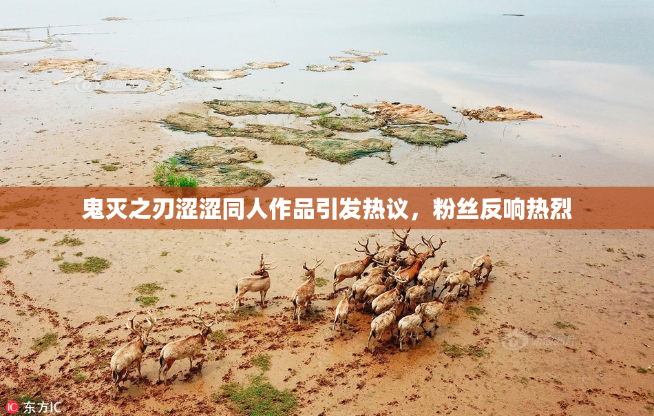 鬼灭之刃涩涩同人作品引发热议，粉丝反响热烈
