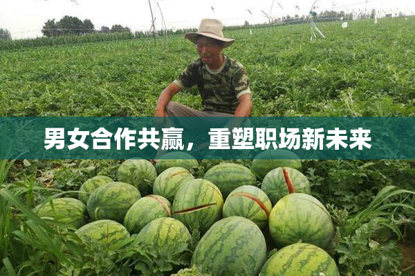 男女合作共赢，重塑职场新未来