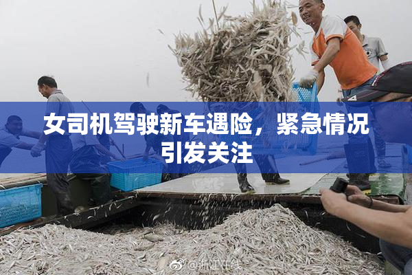 女司机驾驶新车遇险，紧急情况引发关注