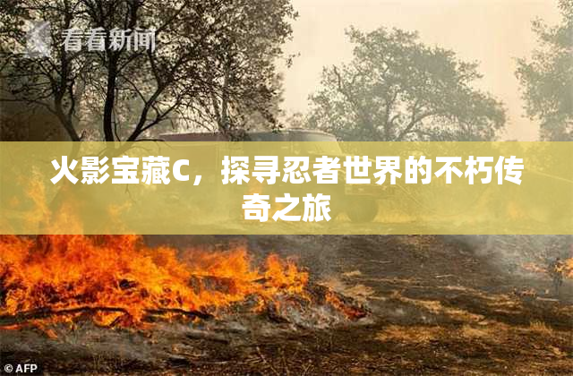 火影宝藏C，探寻忍者世界的不朽传奇之旅