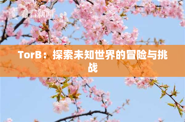 TorB：探索未知世界的冒险与挑战