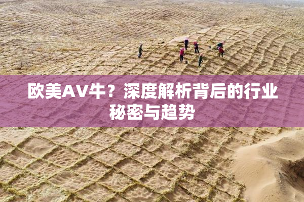 欧美AV牛？深度解析背后的行业秘密与趋势