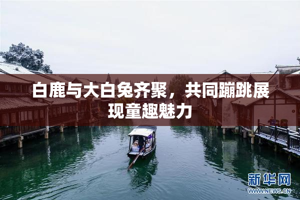 白鹿与大白兔齐聚，共同蹦跳展现童趣魅力
